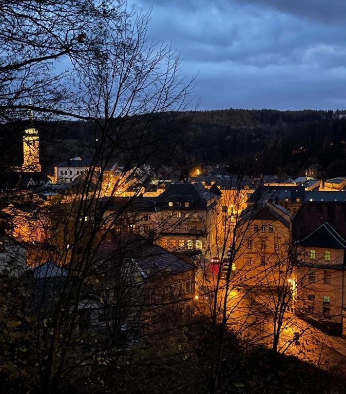Brauhaus Suite 16 Sebnitz Exteriör bild